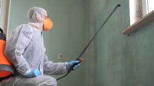 Best Emergency Mold Remediation  in Maywood, CA